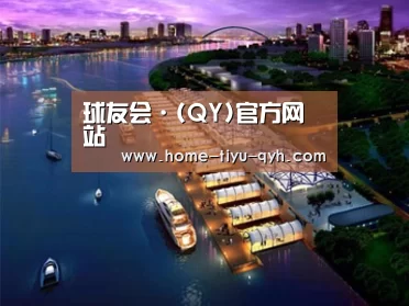 案例展示八